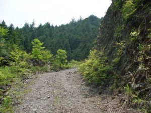 森林施業道の作業道の写真