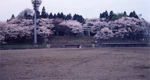 御殿山公園の写真