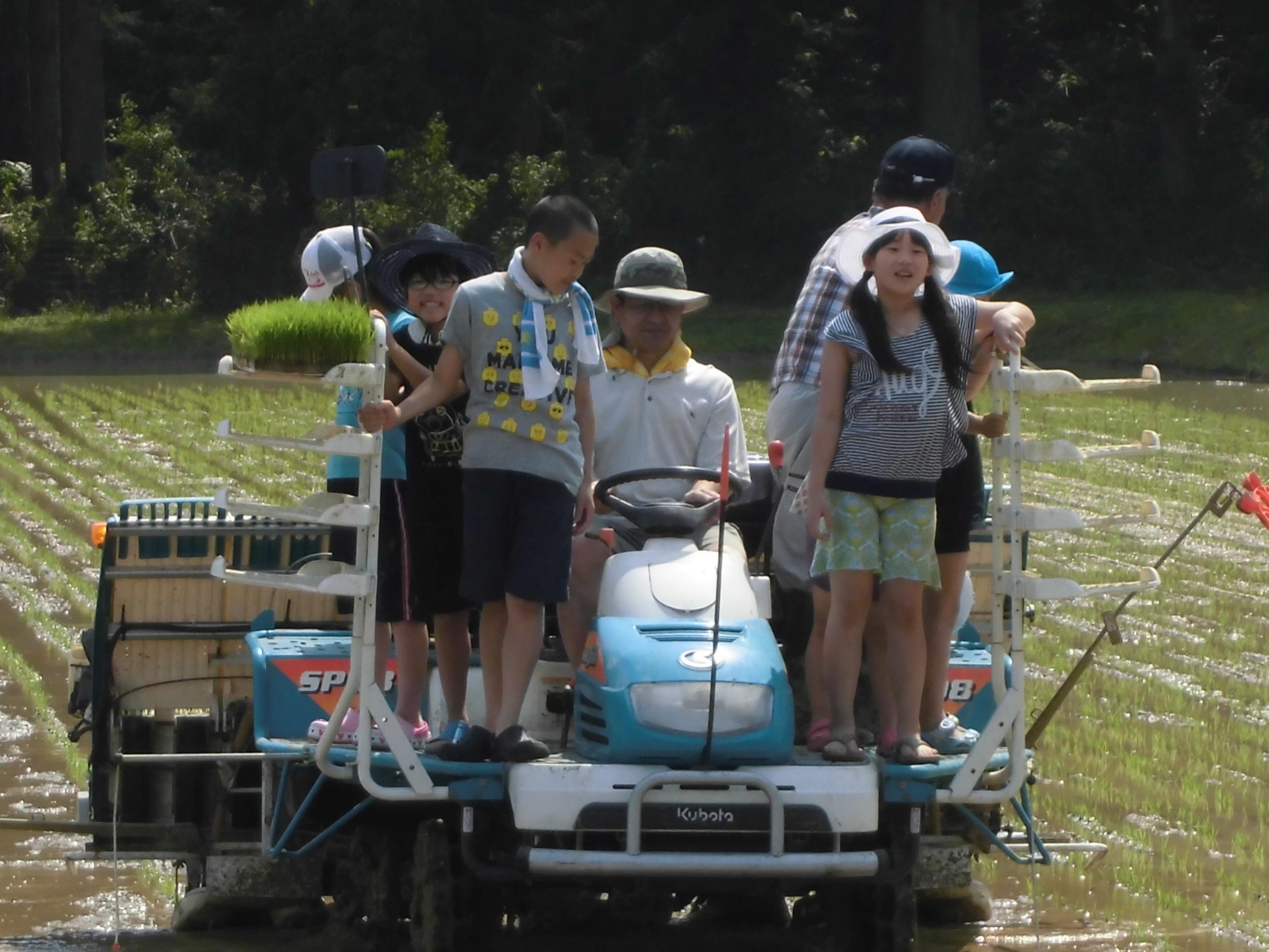 田植え