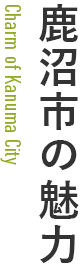 鹿沼市の魅力 鹿沼市の魅力