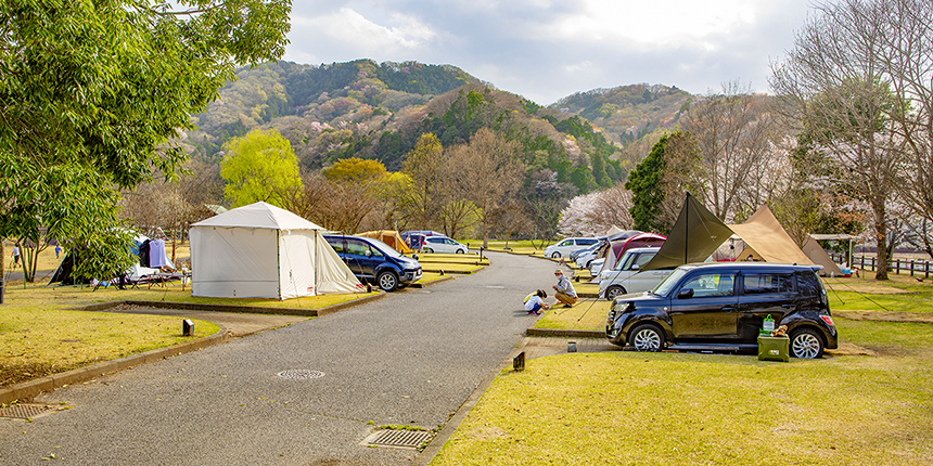 出会いの森総合公園オートキャンプ場 出会いの森総合公園オートキャンプ場