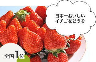 日本一おいしい イチゴをどうぞ 日本一おいしい イチゴをどうぞ