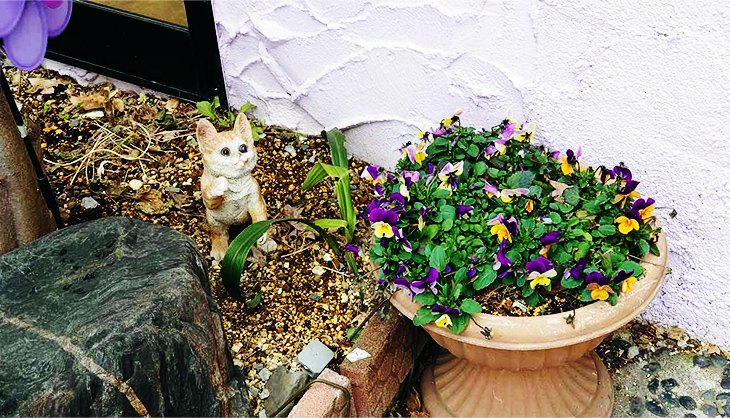 入口の左手に小さな猫ちゃん