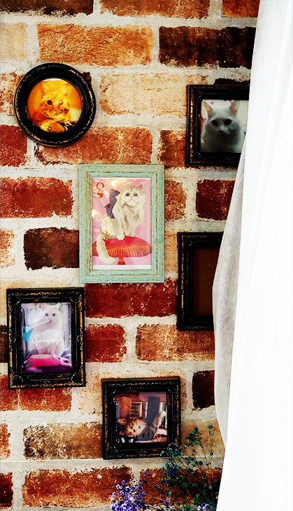 窓際に飾られた猫のイラストと写真