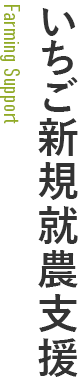 いちご新規就農支援 いちご新規就農支援