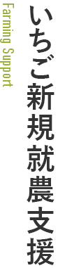 いちご新規就農支援