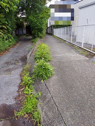 小道から下流をたどる 小道から下流をたどる