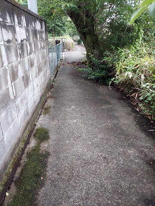 桜も昔は小川のほとにあったはず 桜も昔は小川のほとにあったはず