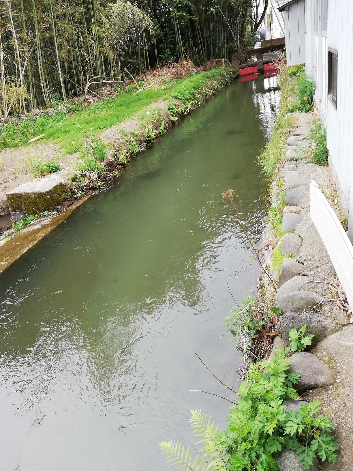 木島堰の取水口 木島堰の取水口
