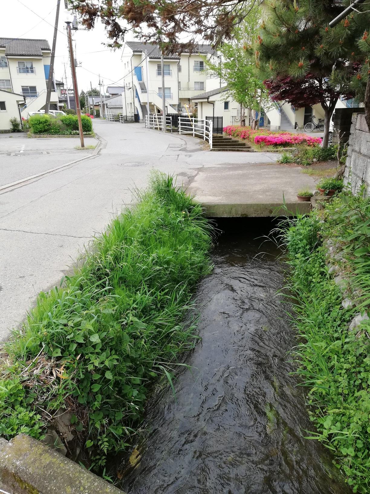 住宅地を流れる木島用水