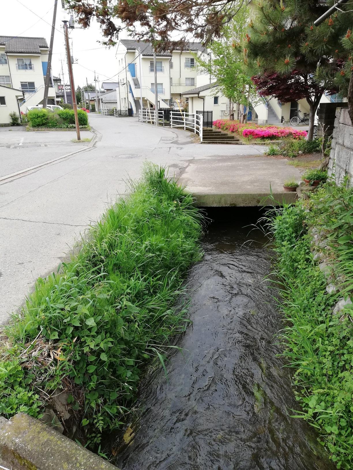 住宅地を流れる木島用水 住宅地を流れる木島用水