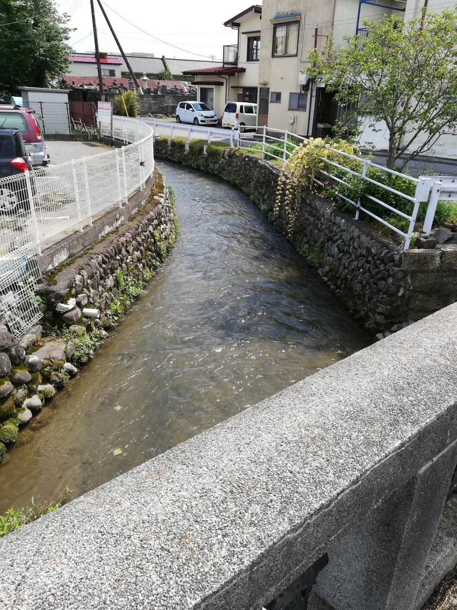 末広橋から南下 末広橋から南下