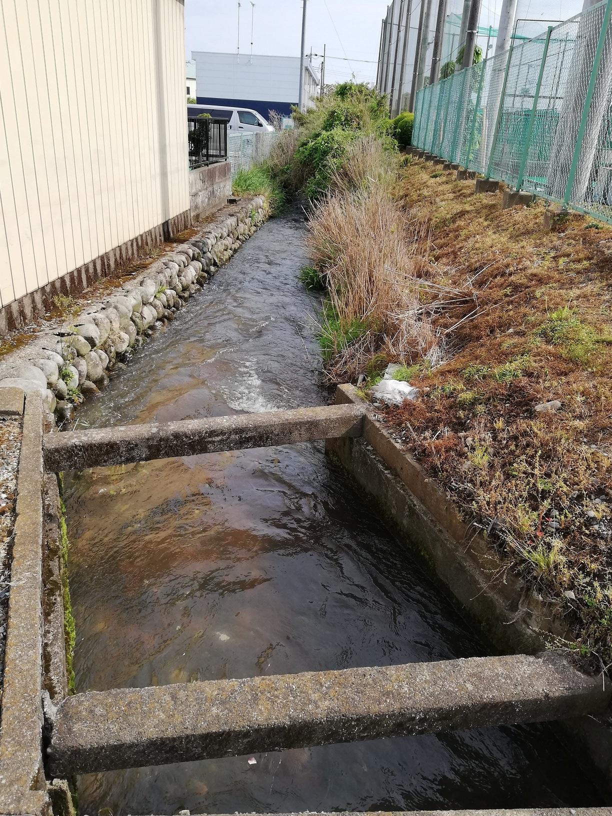 野球グランド1塁側沿い