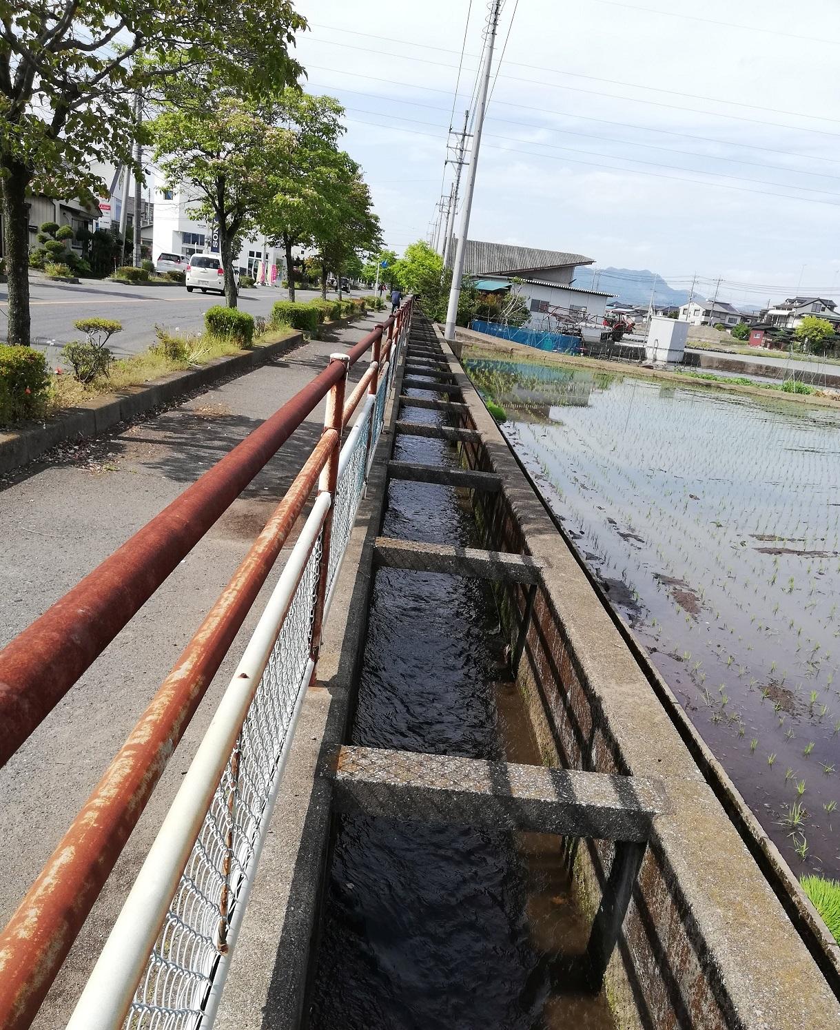 はなみずき通りに沿って南下