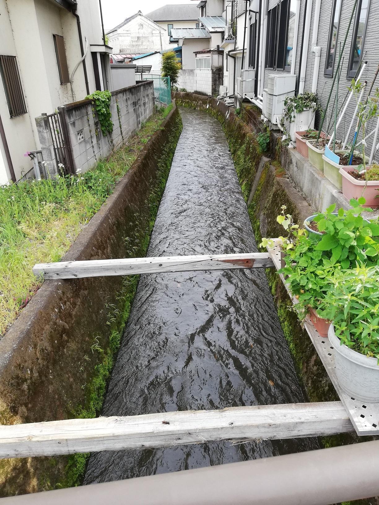 住宅の間を南下