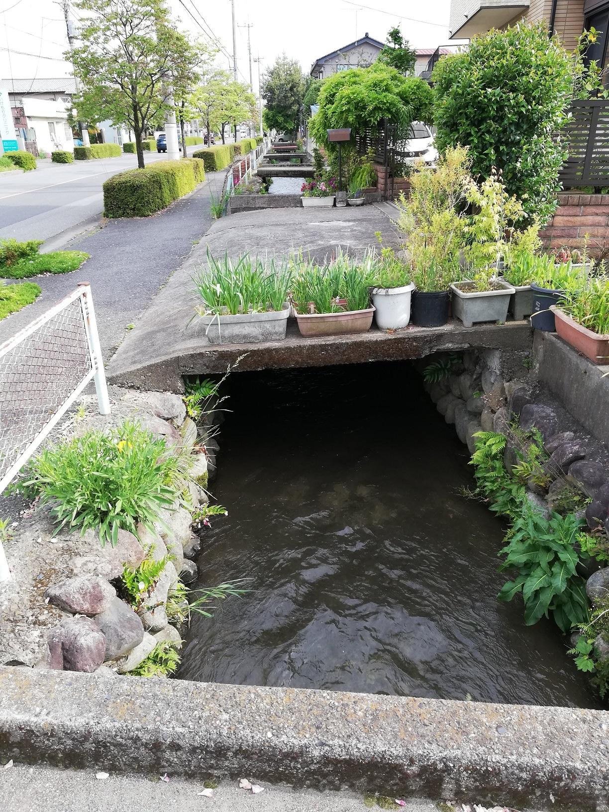 はなみずき通りの西側を流れる