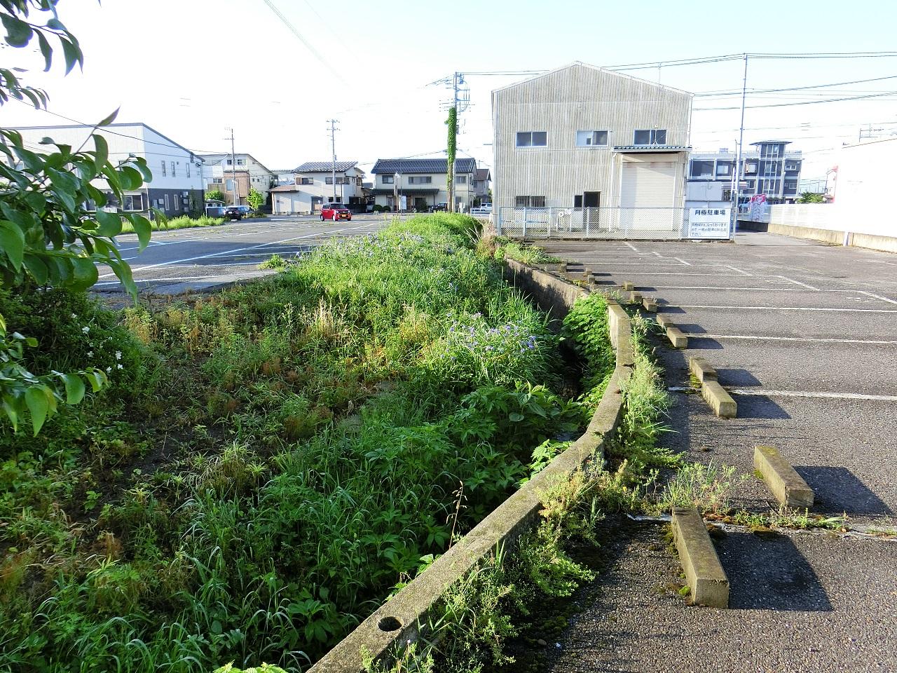 白い建物の横まで続く