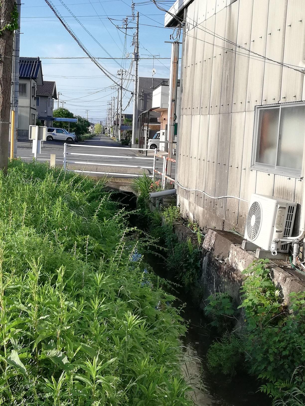 道路の下で暗渠となり住宅街へ