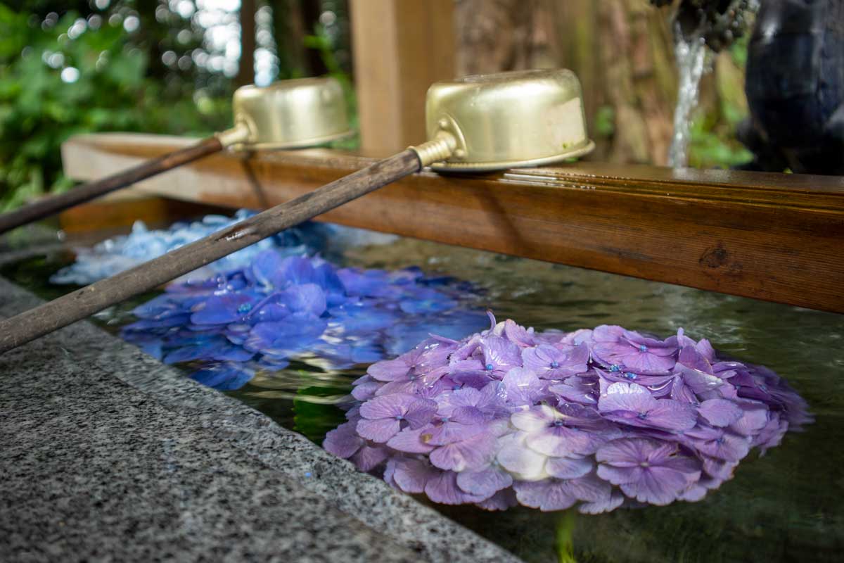花手水 花手水