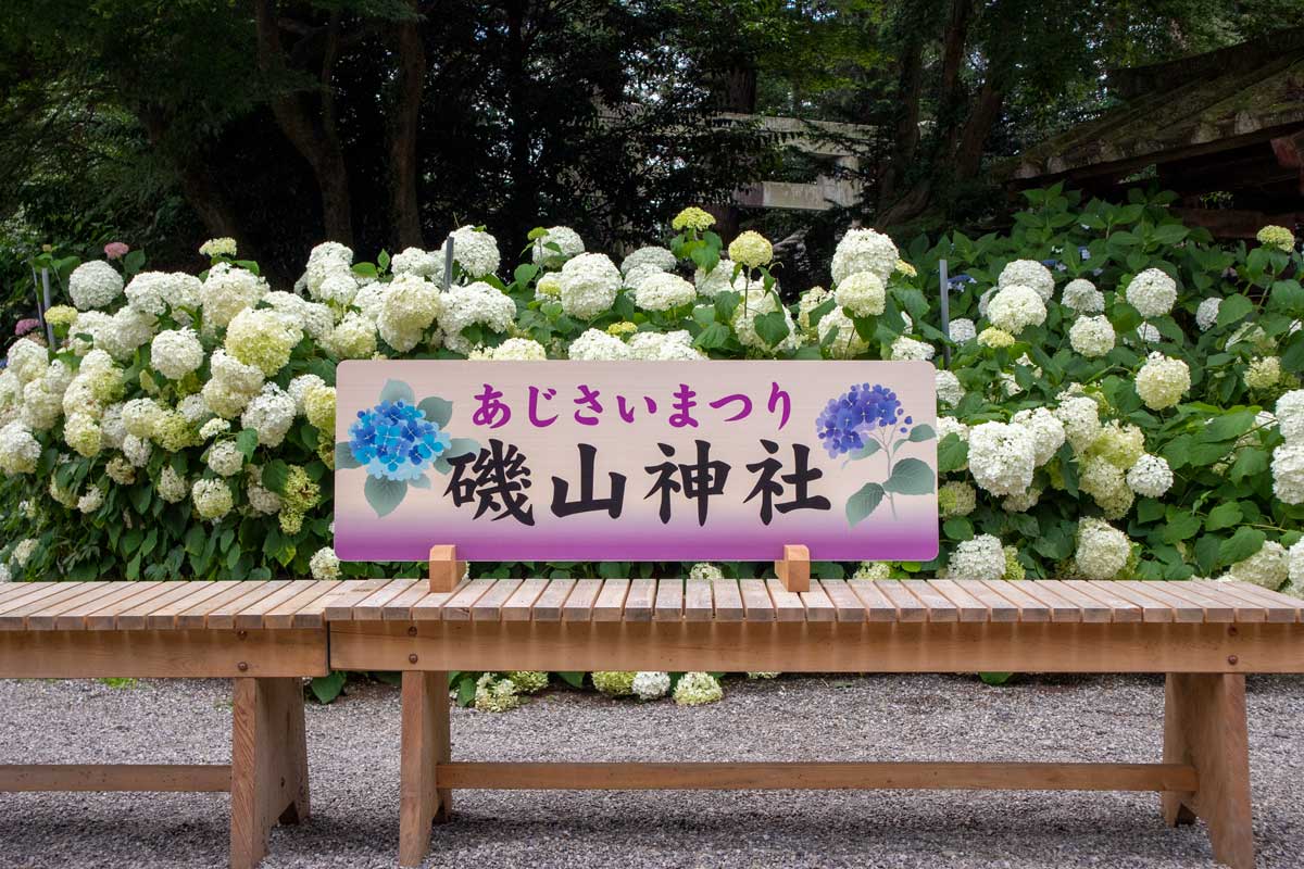 あじさい祭り看板 あじさい祭り看板