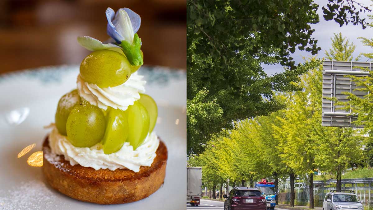 ケーキとイチョウ並木 ケーキとイチョウ並木