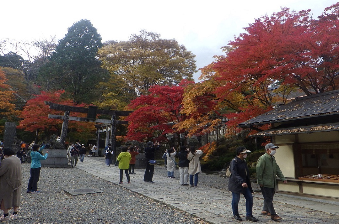 紅葉の名所　鹿沼　―紅葉狩りのすゝめ―