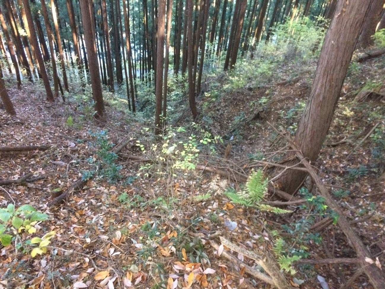 写真－3山を下る大竪堀