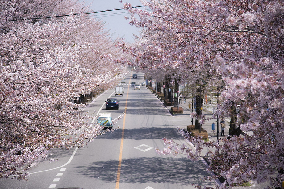 写真3_ふれあい歩道橋より