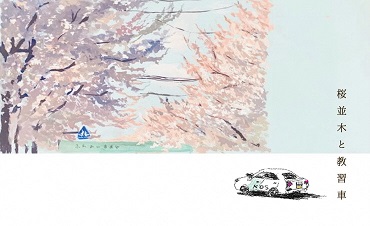【春のさくら特集】桜並木と教習車