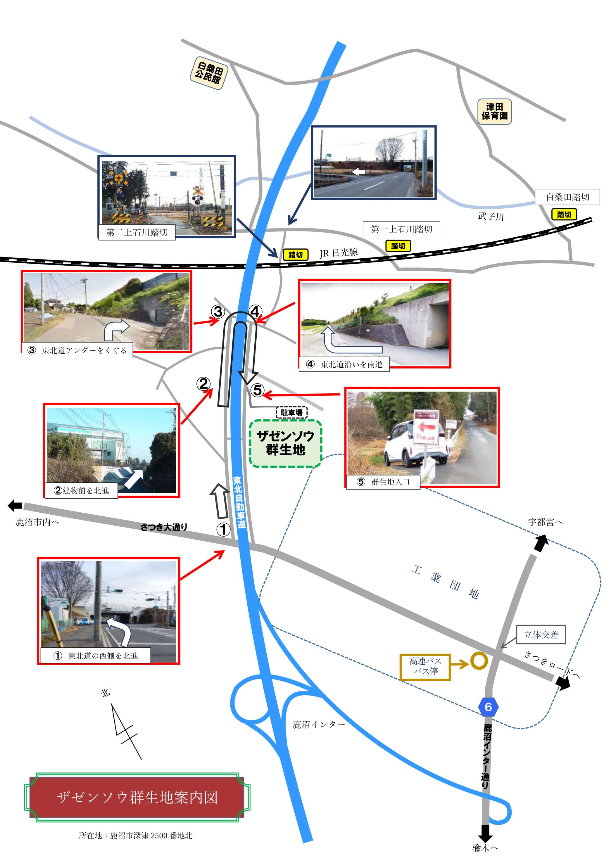 ザゼンソウ群生地案内図