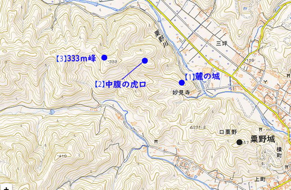 (9)地図
