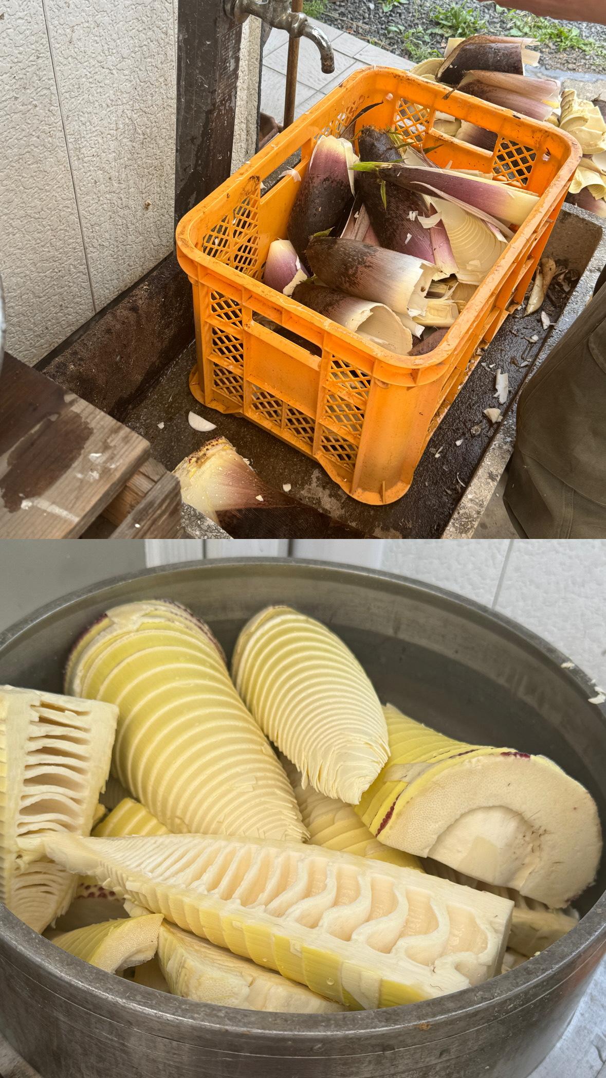 9、たけのこ