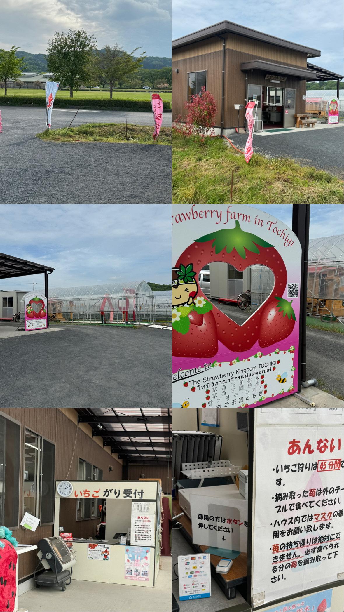 18、出会いの森いちご園