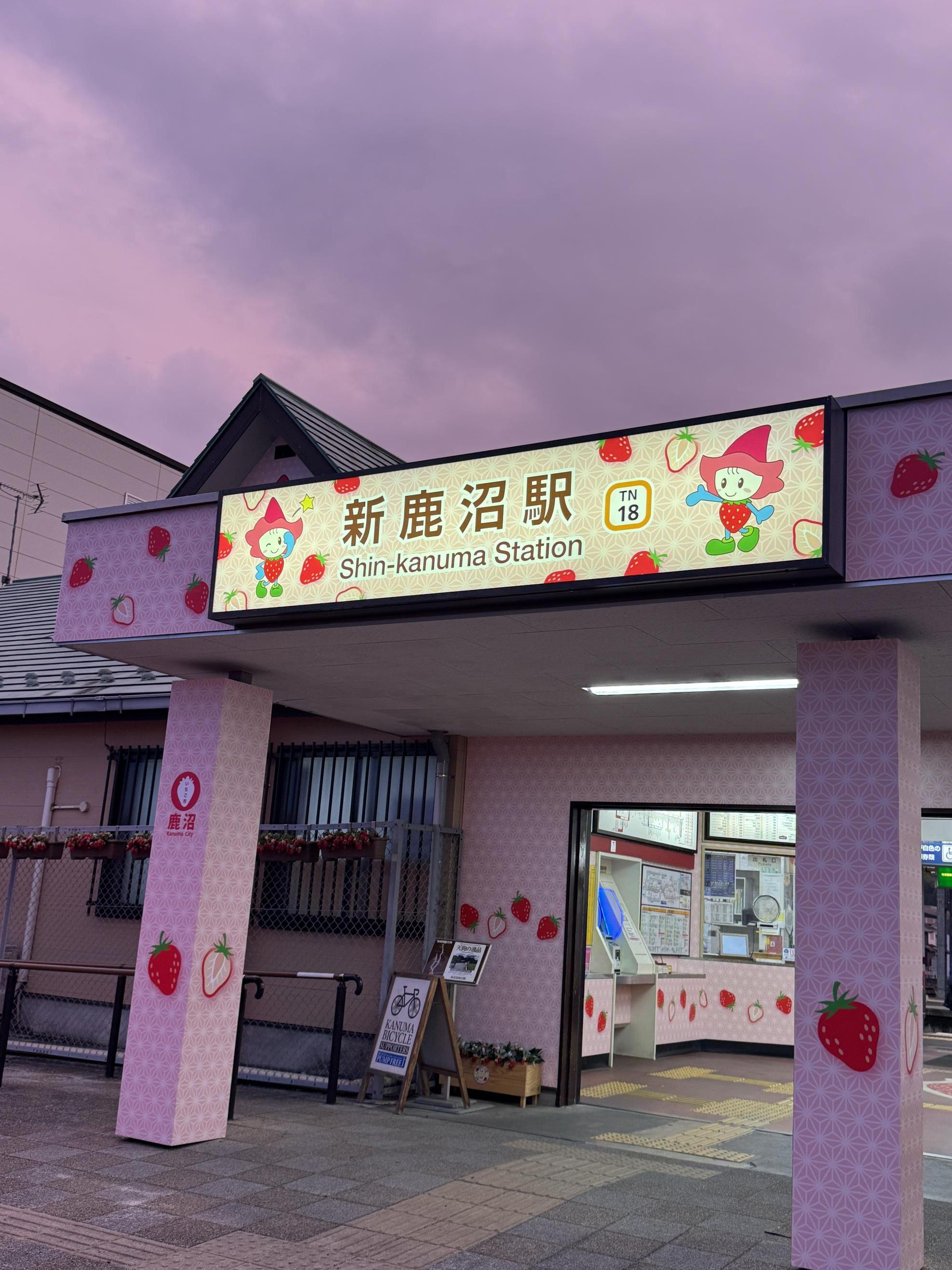 55、新鹿沼駅とピンクの空