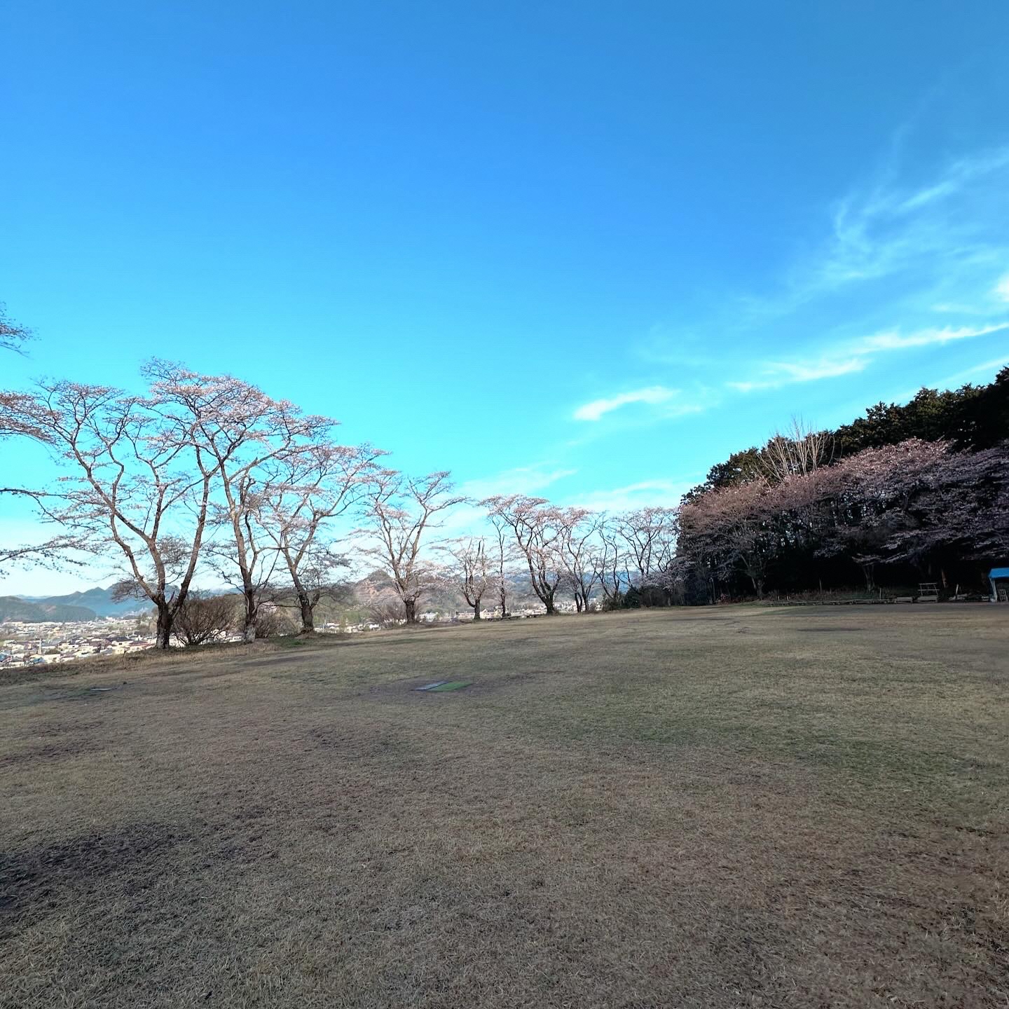 高木校庭_1