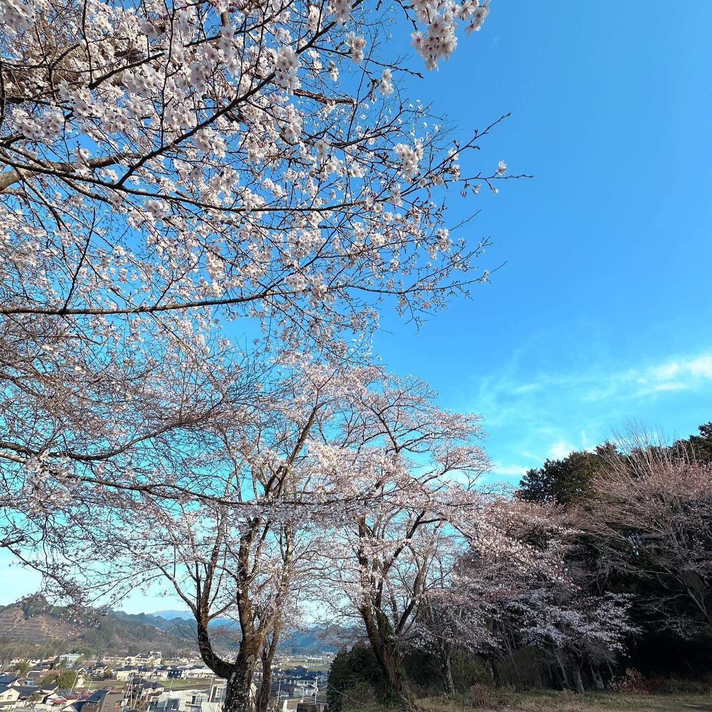 高木校庭_2