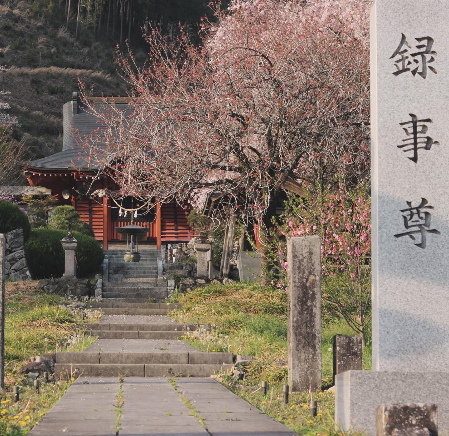 常楽寺_1