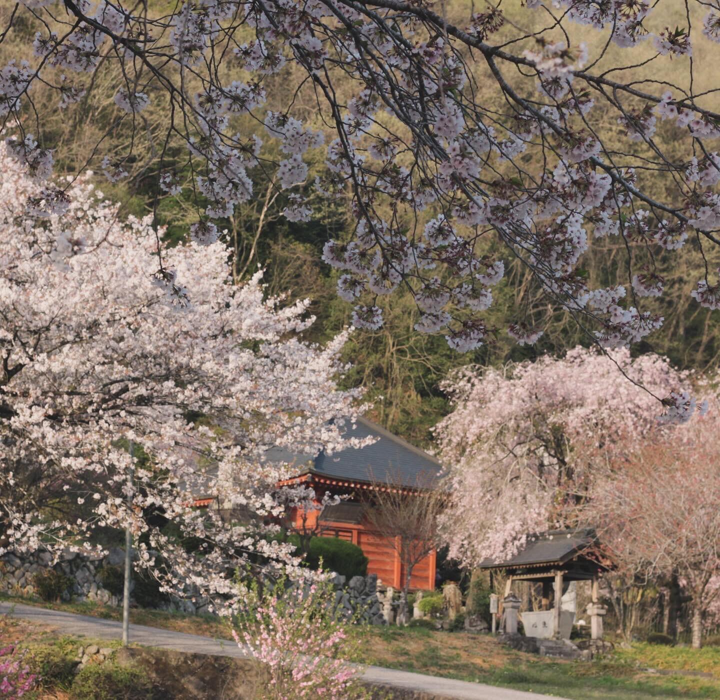 常楽寺_2