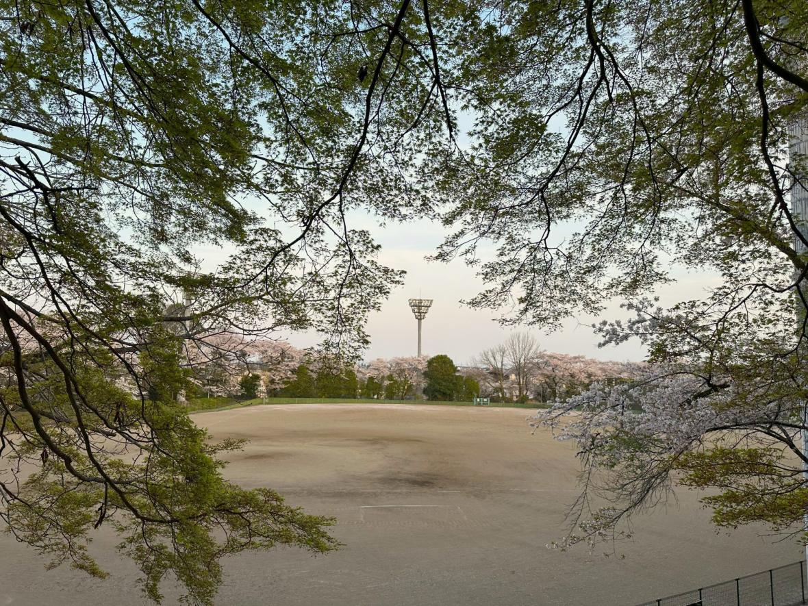 御殿山公園_2