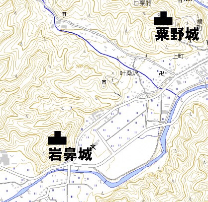 岩鼻地図