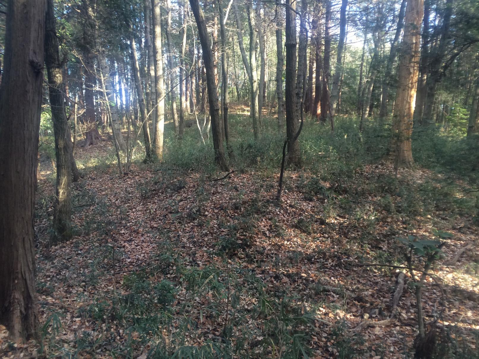茶臼山の段