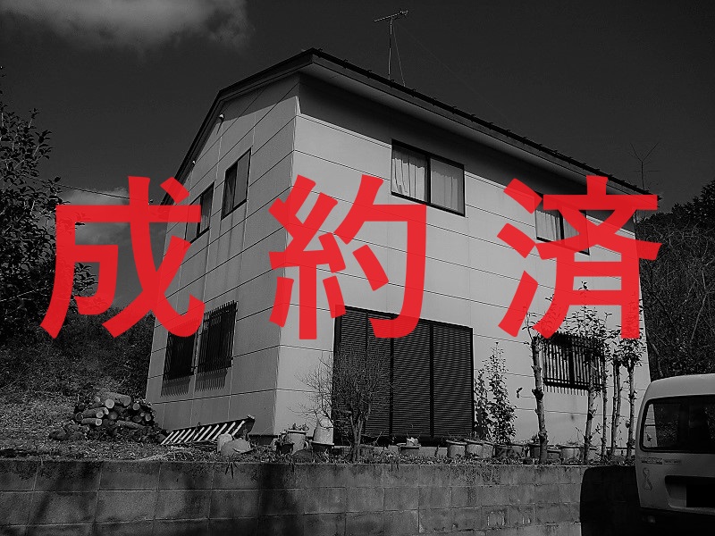 成約済