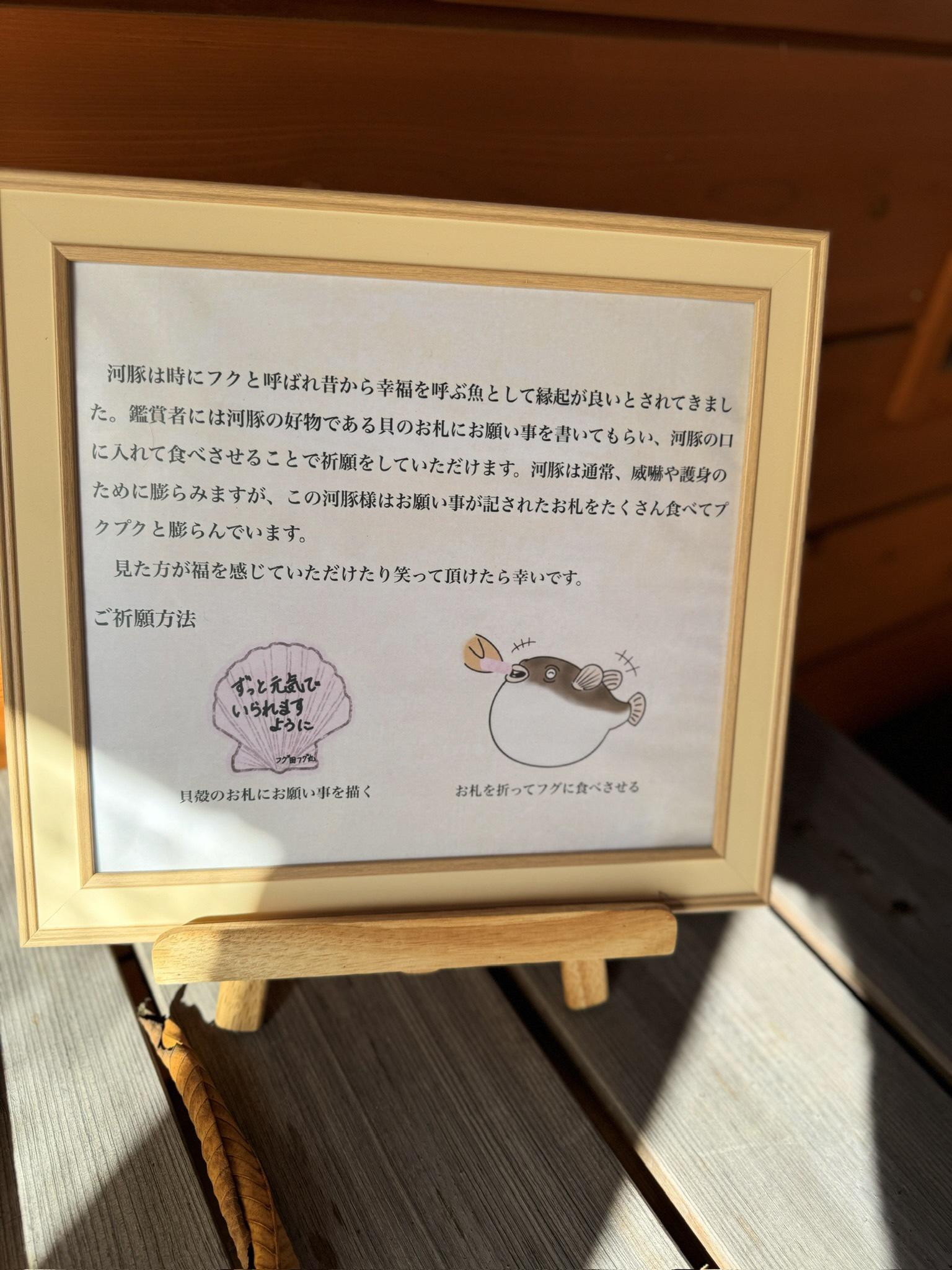 (24)森聖華(2)