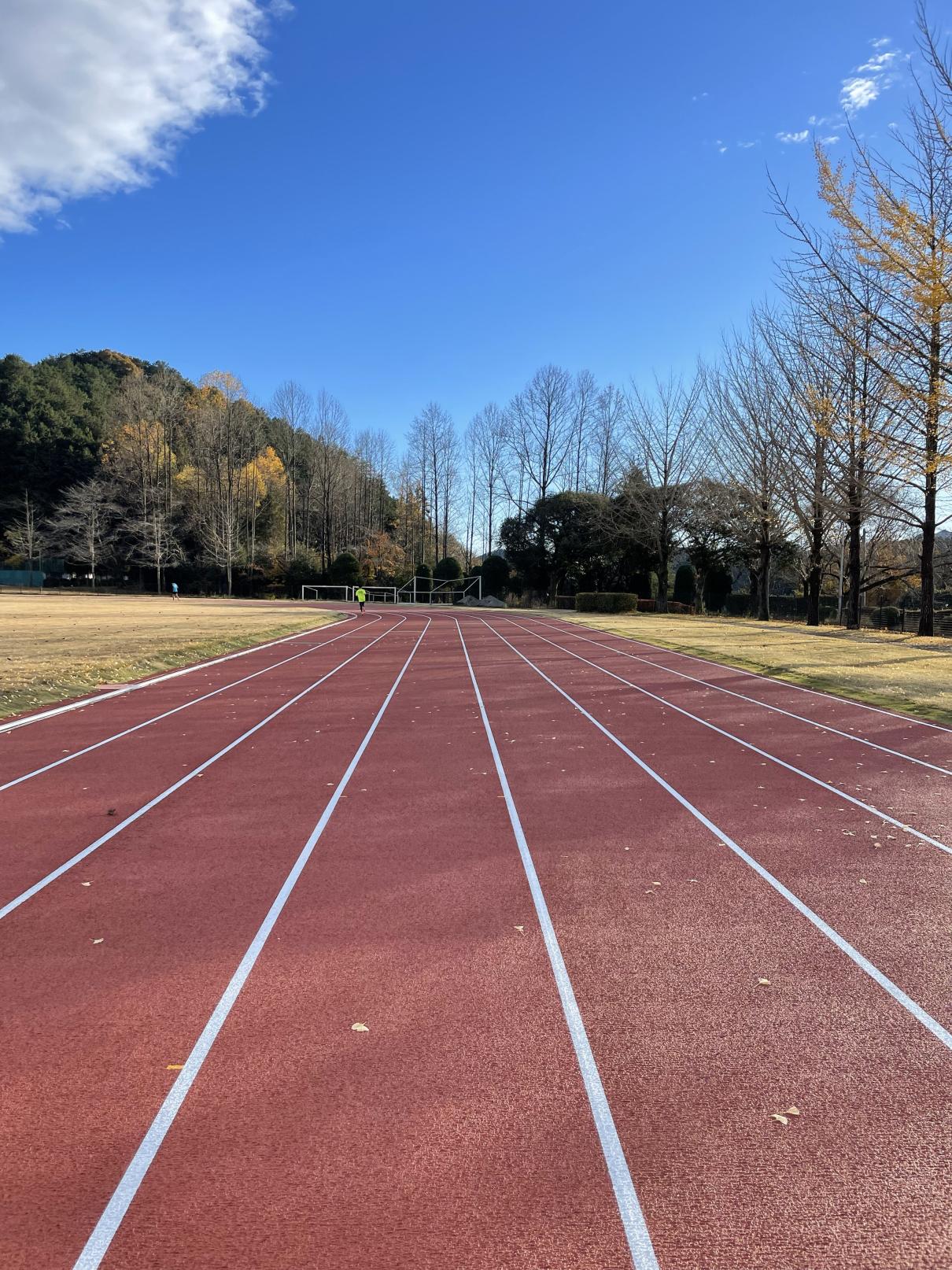 陸上競技場