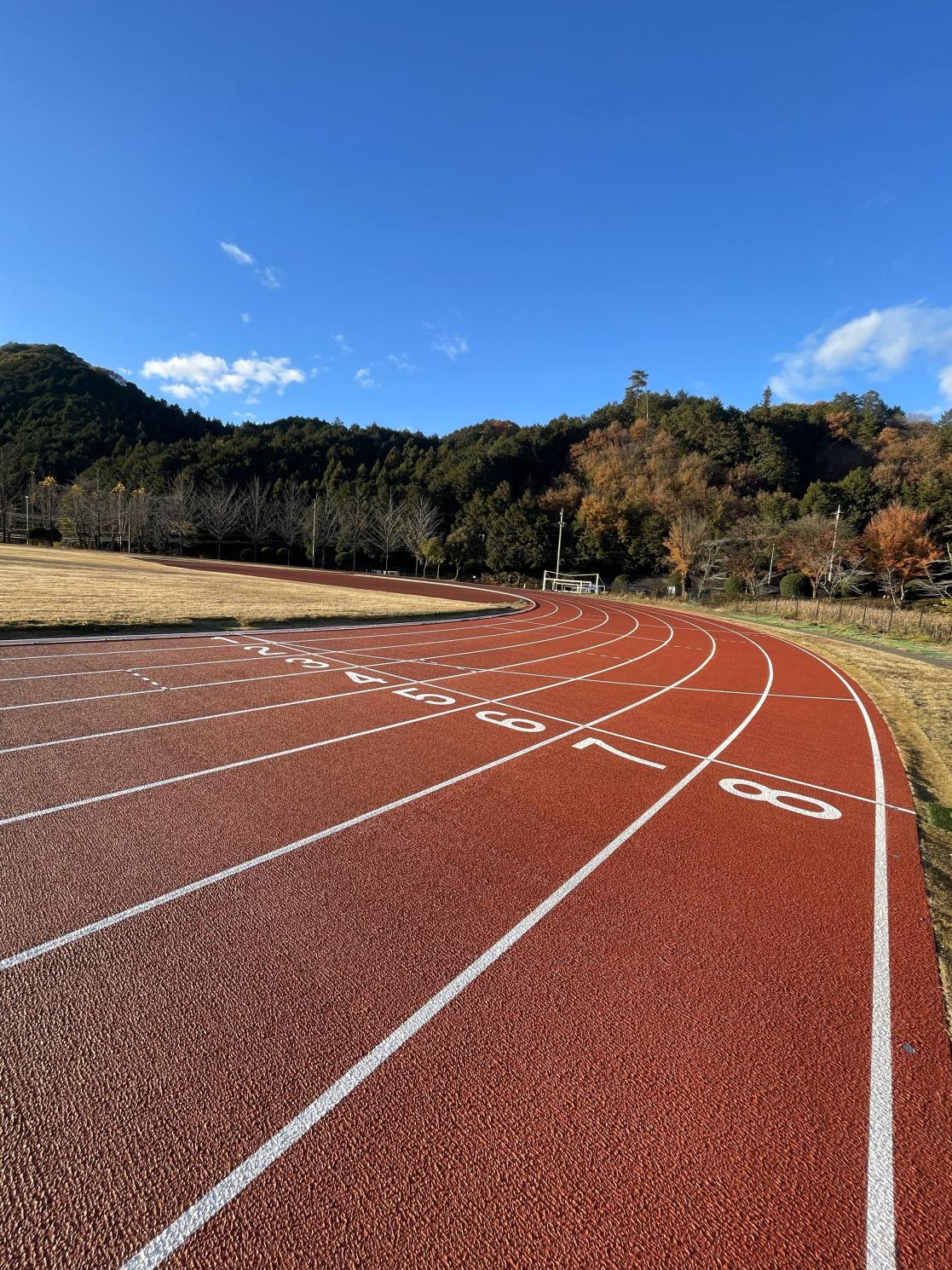 陸上競技場