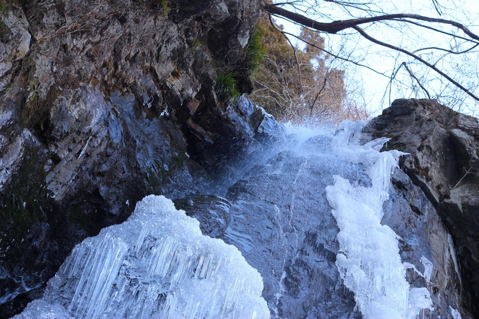 ootaki_003