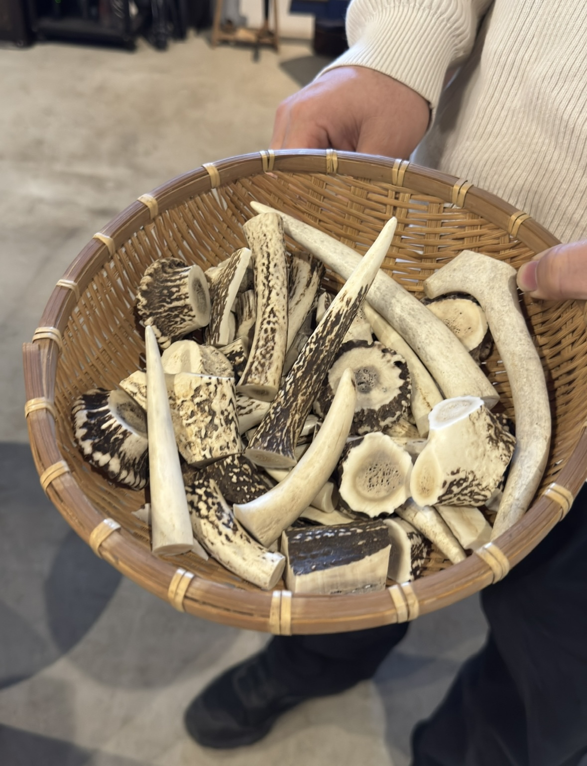 (7)鹿の角