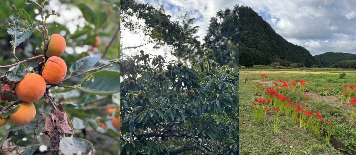 BEAAF3B7-A938-4E5E-BBB6-7A9FD116288C BEAAF3B7-A938-4E5E-BBB6-7A9FD116288C