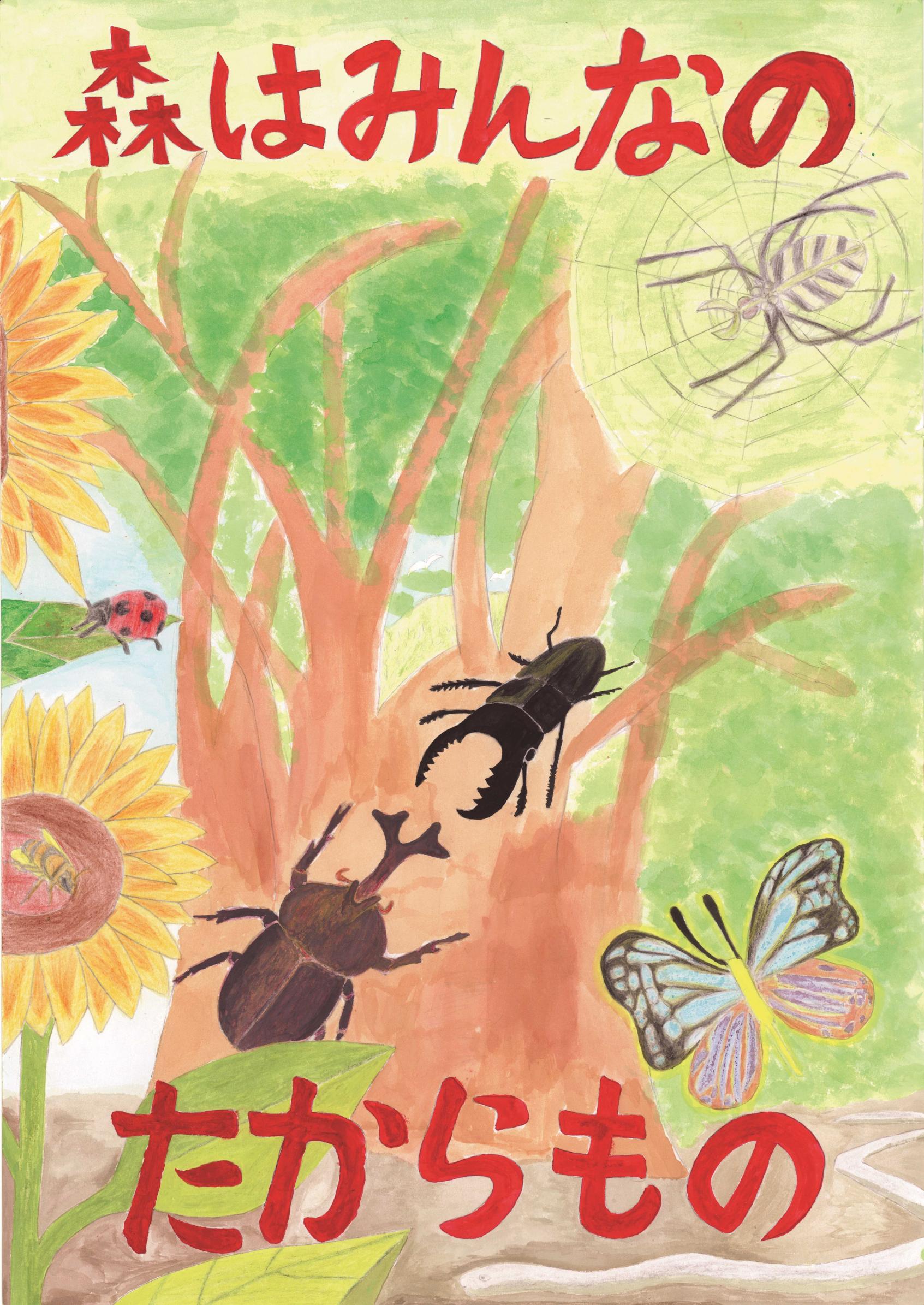 鈴木はつ乃 鈴木はつ乃