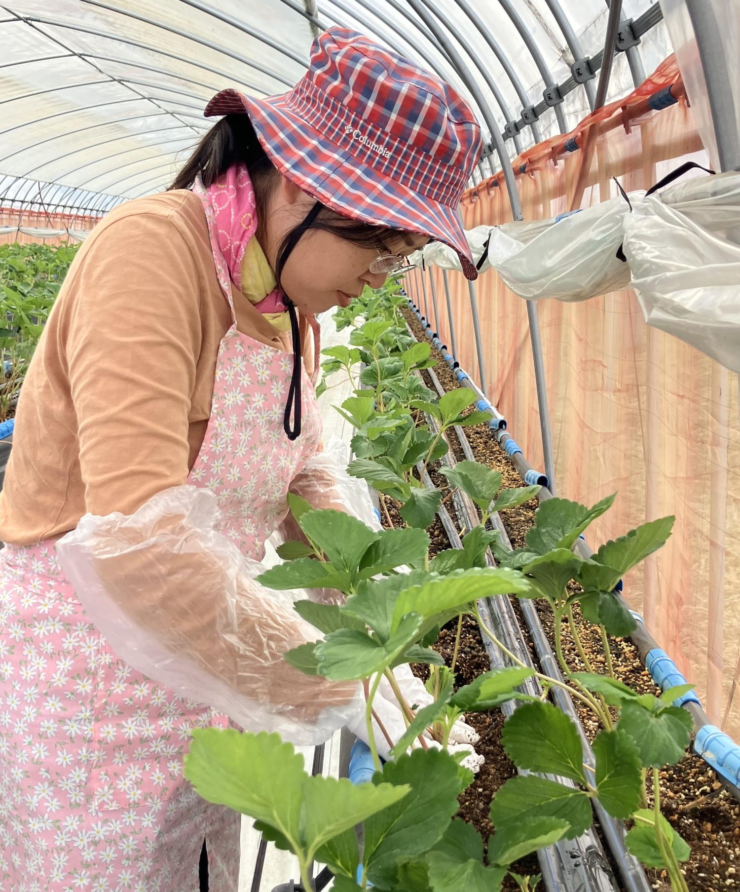 先輩移住者の仕事を見学して感動！～移住体験ツアーレポート～